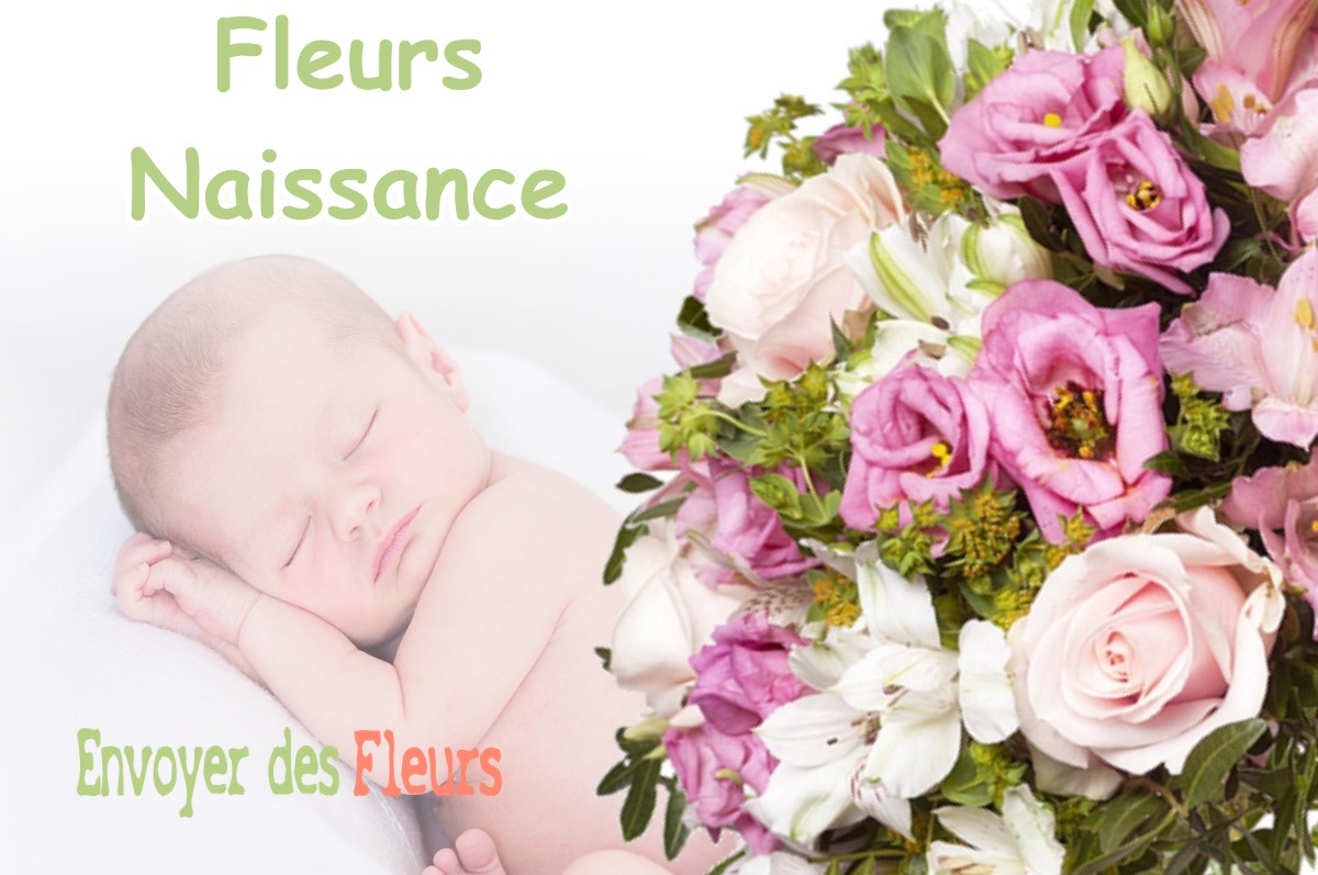 lIVRAISON FLEURS NAISSANCE à PORTET-SUR-GARONNE